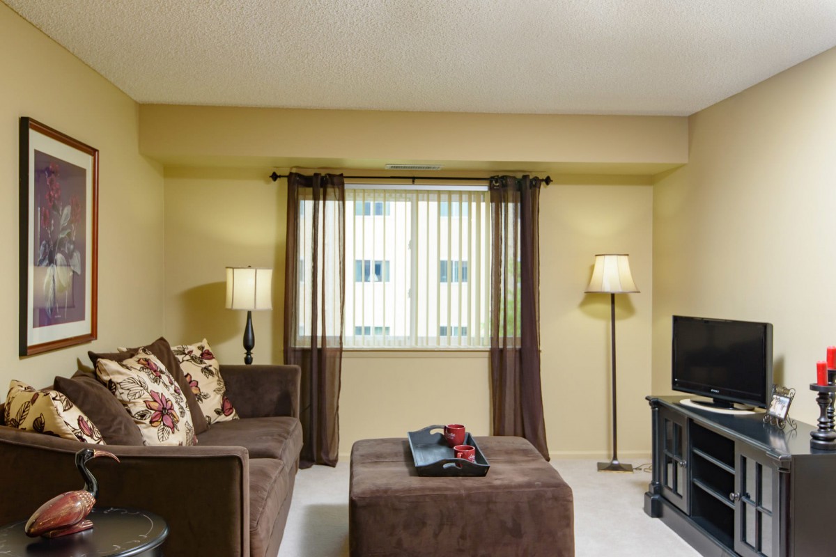 A cozy living room with a brown sofa, floor lamp, and TV facing a window with curtains.