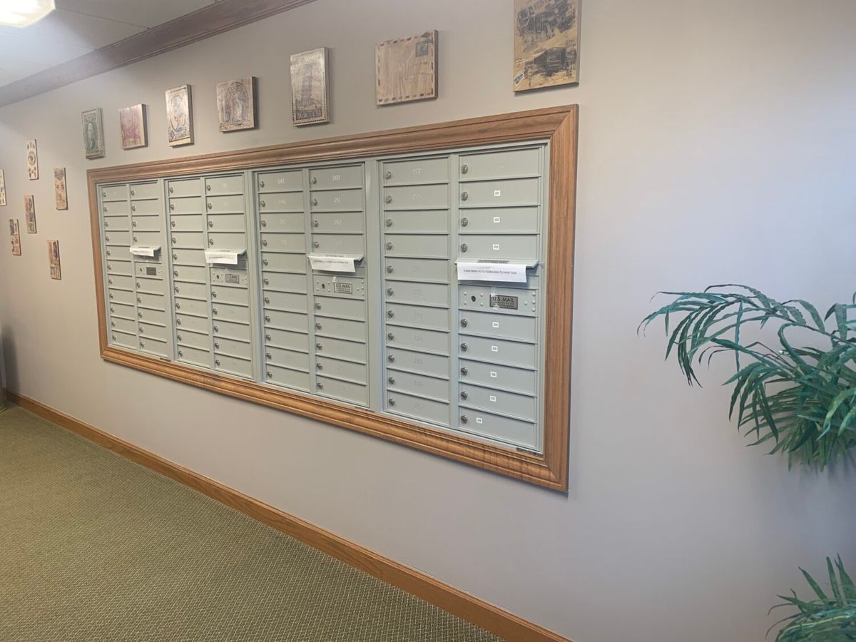 A hallway with a wall of mailboxes and a potted plant.