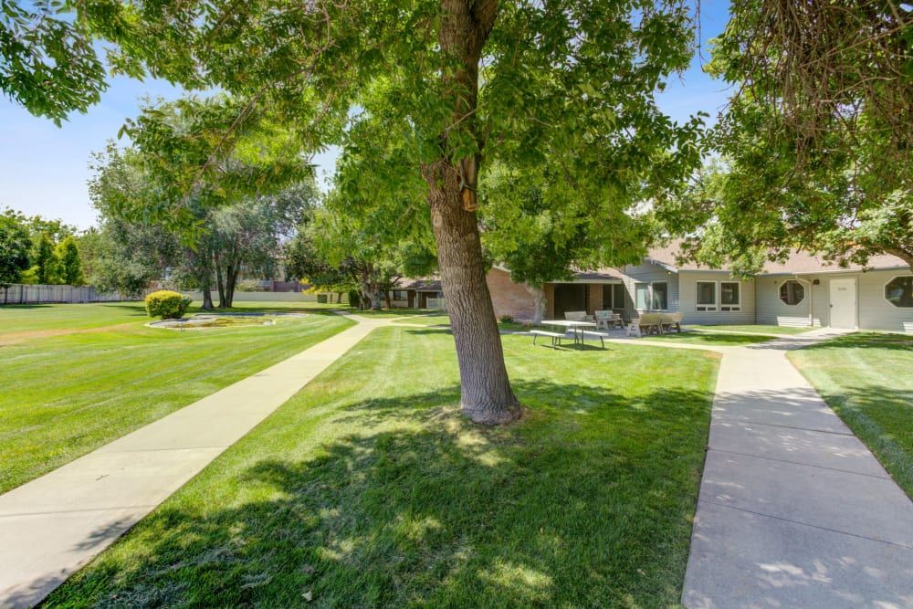 A sunny day in a park featuring lush green grass, trees, sidewalks, and nearby buildings.