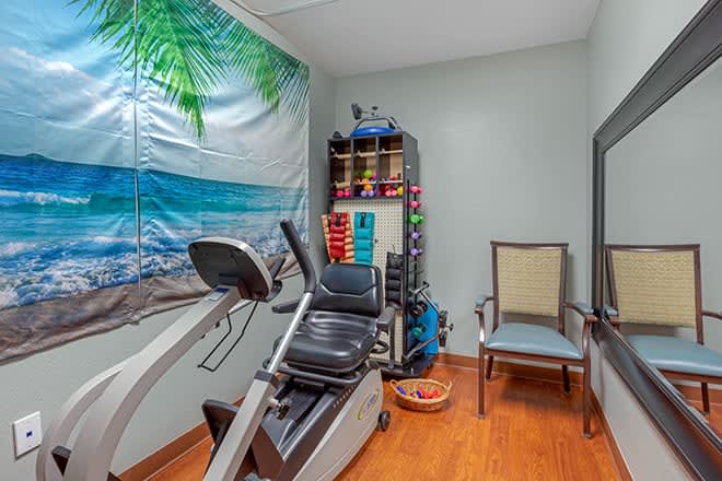 A small home exercise room featuring a stationary bike and tropical-themed decor.