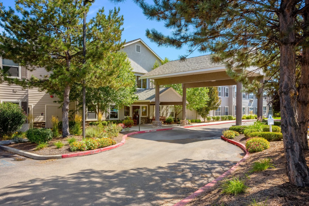 A sunny day at a building entrance with landscaped surroundings and a circular driveway.