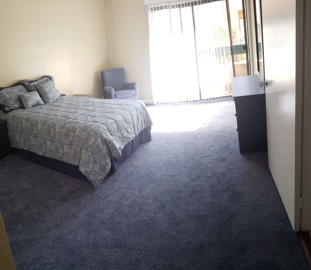 A modern bedroom with carpeted flooring and large windows.