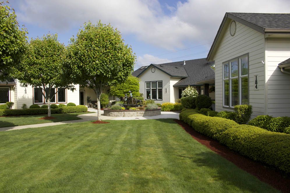 A beautifully landscaped yard with a well-maintained lawn and modern house.