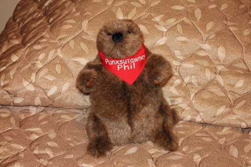 A plush representation of Punxsutawney Phil, the famous groundhog.