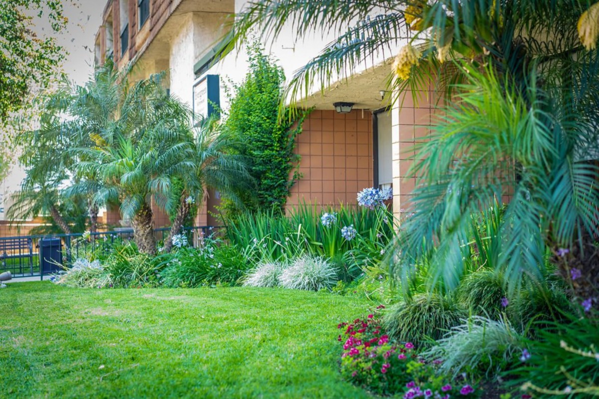 A lush green garden with a variety of plants and shrubs outside a building.