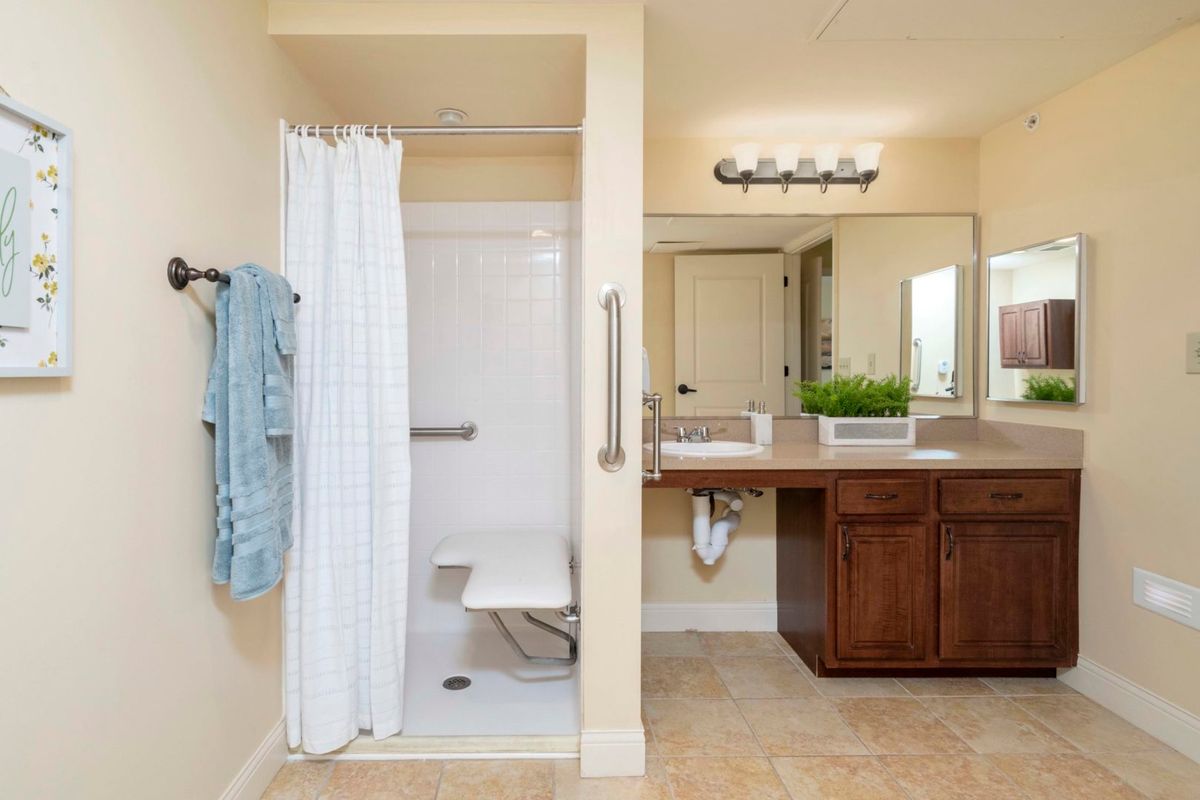 A bathroom with accessible shower and vanity area.