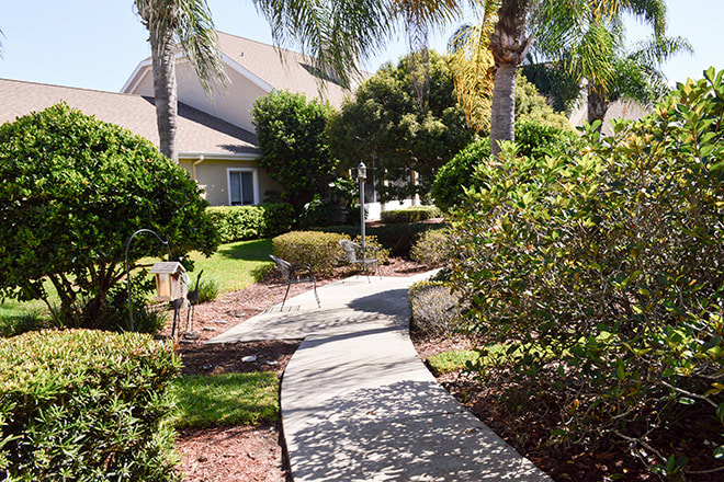 A sunny garden pathway leading to a house, surrounded by lush landscaping and palm trees.