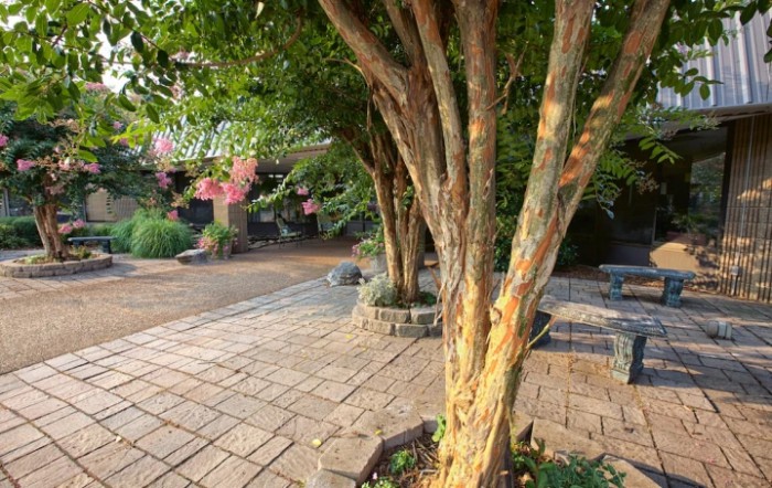 A peaceful garden setting with trees and a paved walkway, bathed in warm sunlight.