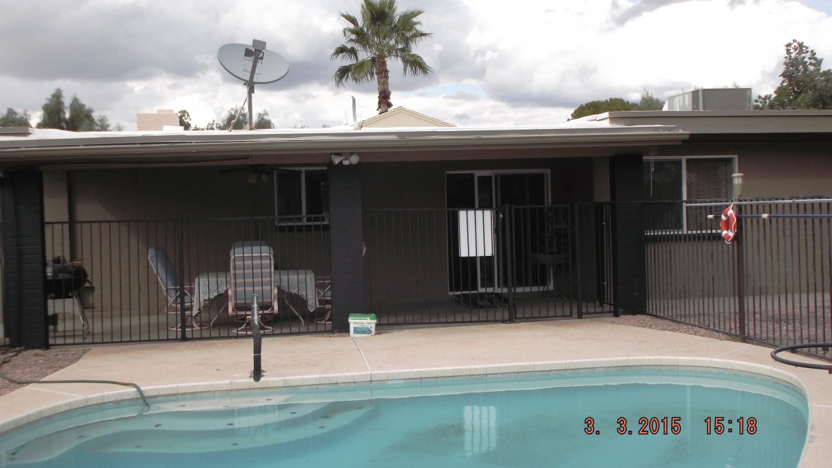 A backyard view featuring a swimming pool, fenced patio area, and a house with a palm tree in the background.