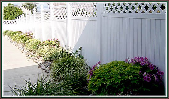 A tidy garden with various plants along a white lattice fence.