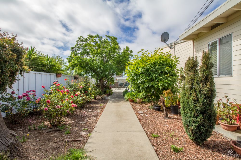 A garden with a concrete pathway lined by trees and shrubs under a cloudy sky.