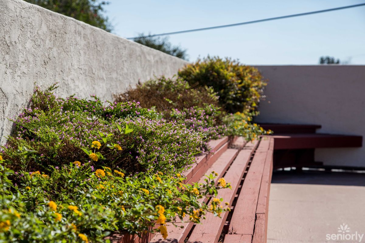 A sunny outdoor garden with lush plants and flowers along a wooden platform.