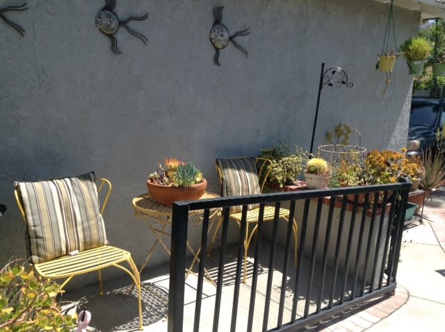 A cozy patio with chairs, a table, and wall decorations surrounded by potted plants.