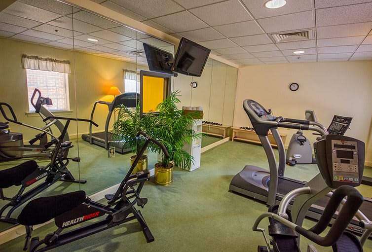 A small fitness room with exercise equipment including treadmills and a stationary bike, enhanced by a large mirror and a potted plant.