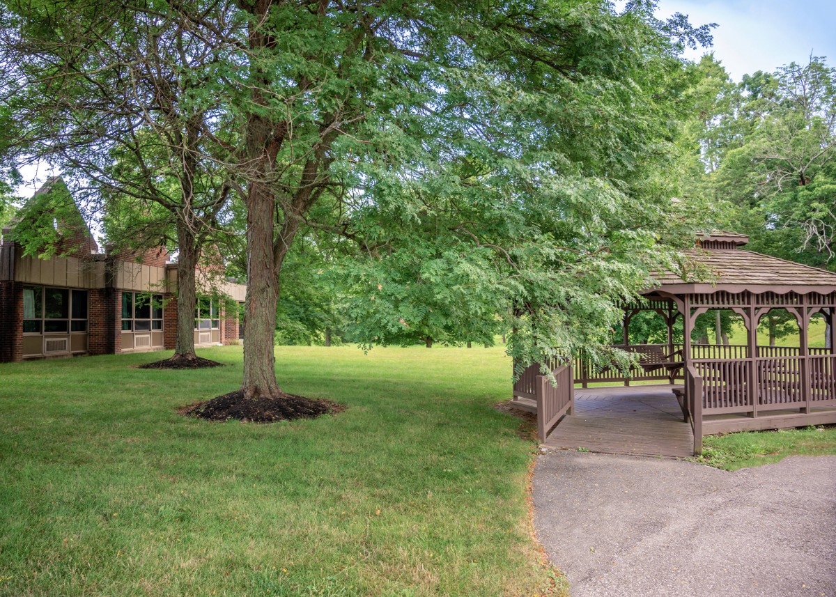 A tranquil outdoor scene with lush trees, a wooden gazebo, and a grassy lawn adjacent to a building.