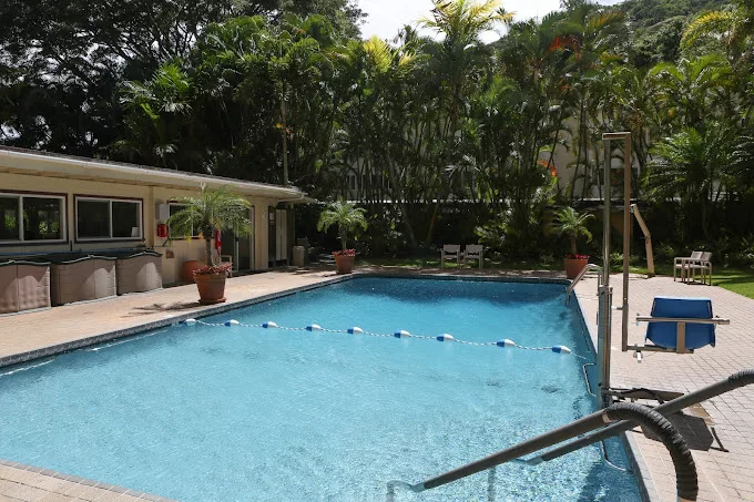 A tranquil outdoor swimming pool surrounded by lush tropical greenery.