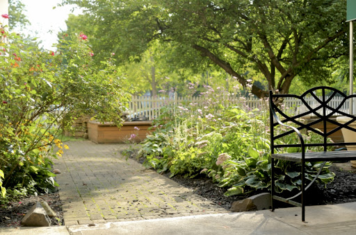 A tranquil garden pathway surrounded by lush plants and a shaded tree, inviting relaxation.