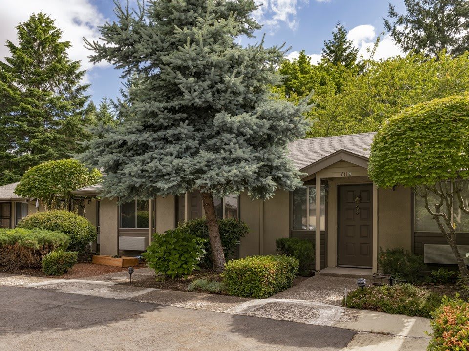 A quaint house surrounded by lush greenery and a prominent tree in the front yard.