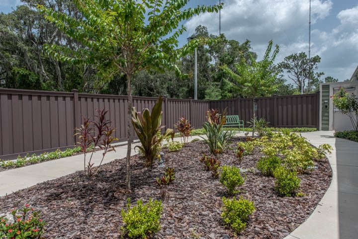 A landscaped garden featuring a variety of plants and shrubs, with a pathway and wooden fence in the background.