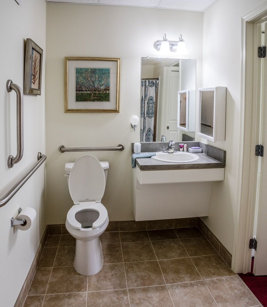 An accessible bathroom featuring a toilet with handrails, a sink, and a mirror.