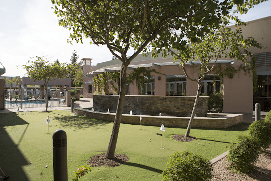 A serene garden with lush greenery, fountains, and a modern building in the background.