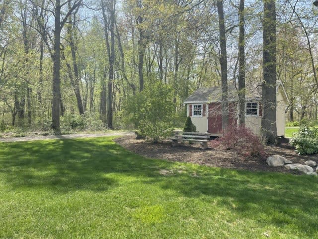 A cozy cabin nestled among tall trees and lush greenery in a tranquil forest setting.
