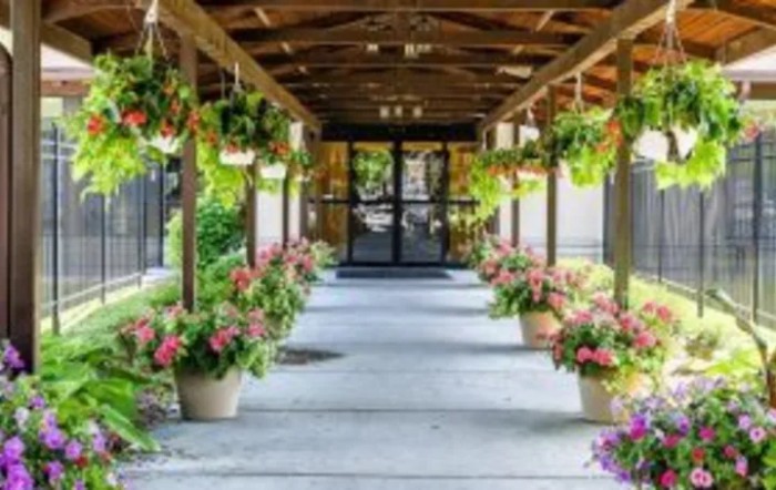 A beautifully decorated walkway with hanging plants and flower pots leading to an entrance.
