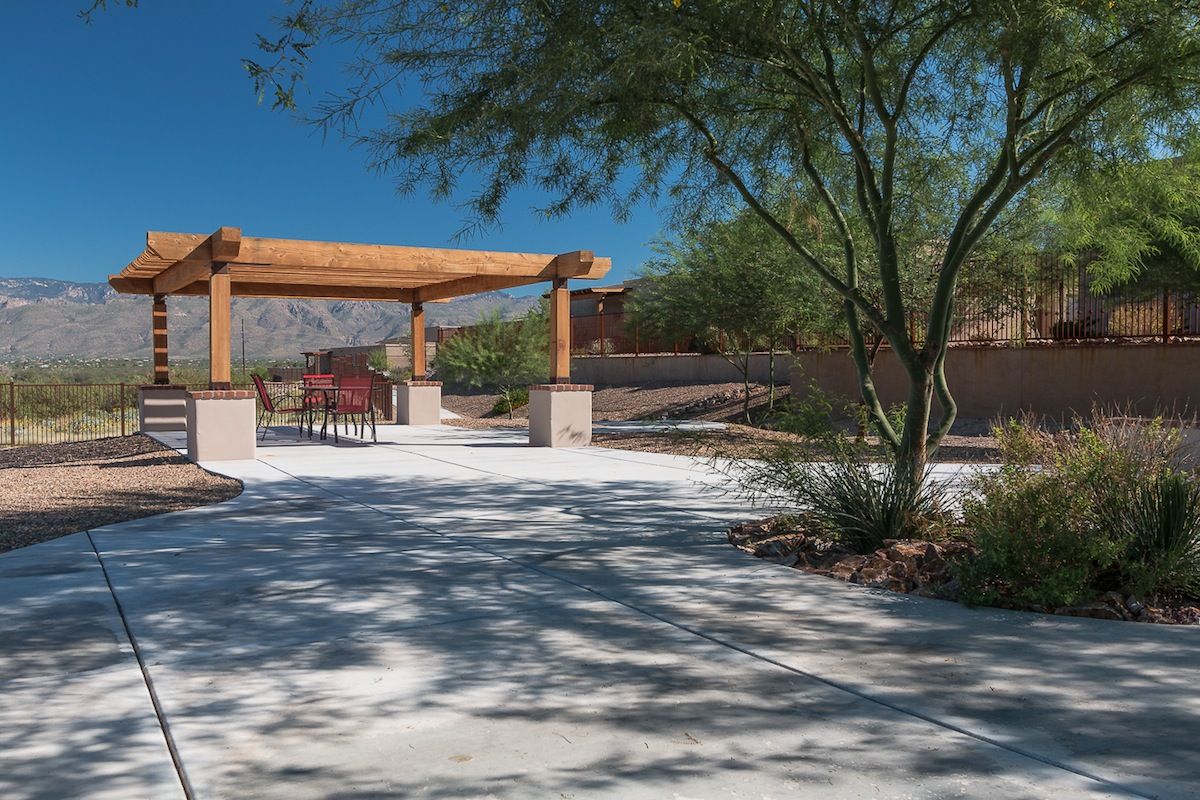 A serene park with a pathway leading under a wooden pergola, surrounded by trees and desert landscaping.