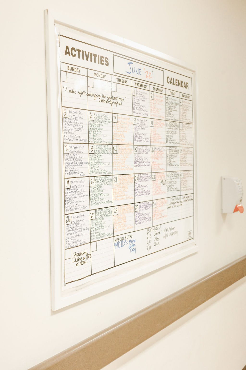 A wall-mounted office schedule board displaying a weekly plan.