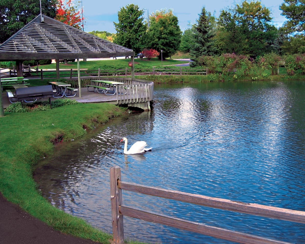A peaceful scene of a swan gliding across a serene lake near a wooden dock and surrounded by lush greenery.