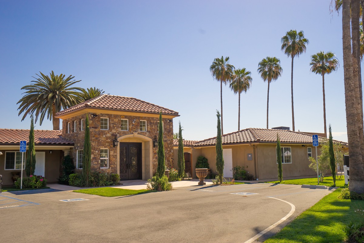 A luxurious house with palm trees on a sunny day.