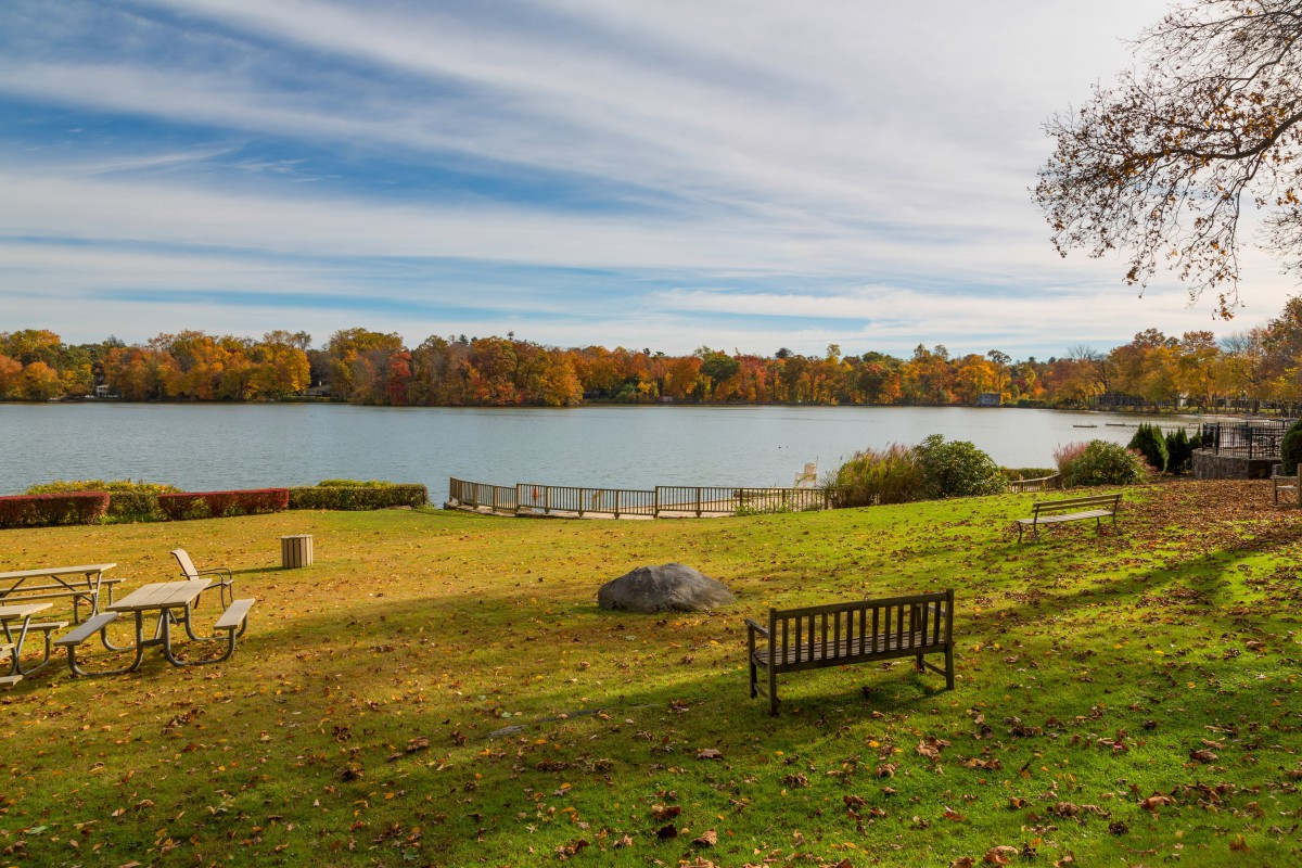 A serene autumn landscape featuring a lake surrounded by colorful trees, with benches scattered in a peaceful park setting.
