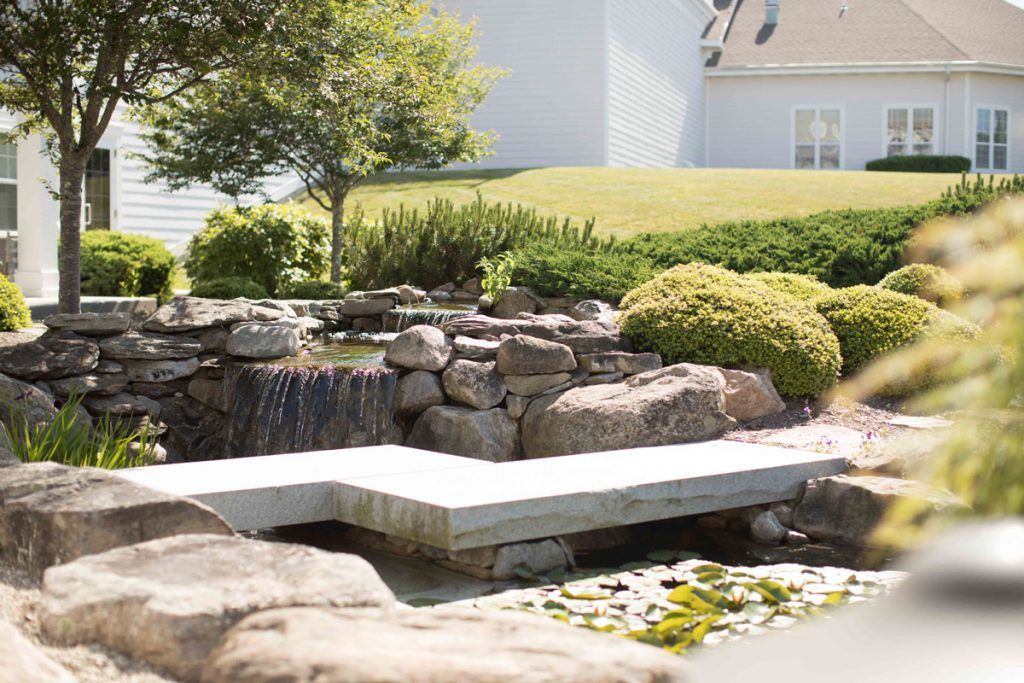 A serene garden pond with a small bridge and surrounding rocks and greenery.