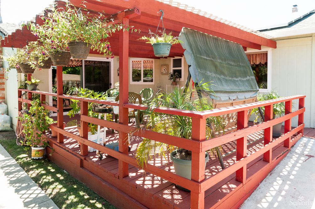 A charming wooden deck adorned with various hanging and potted plants, basking in sunlight.