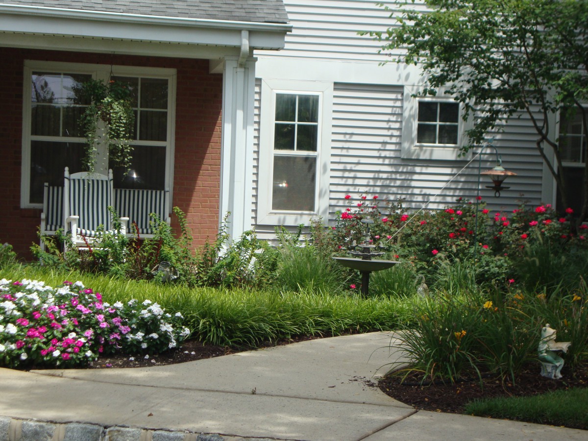 A charming house with a beautifully landscaped front garden and pathway.
