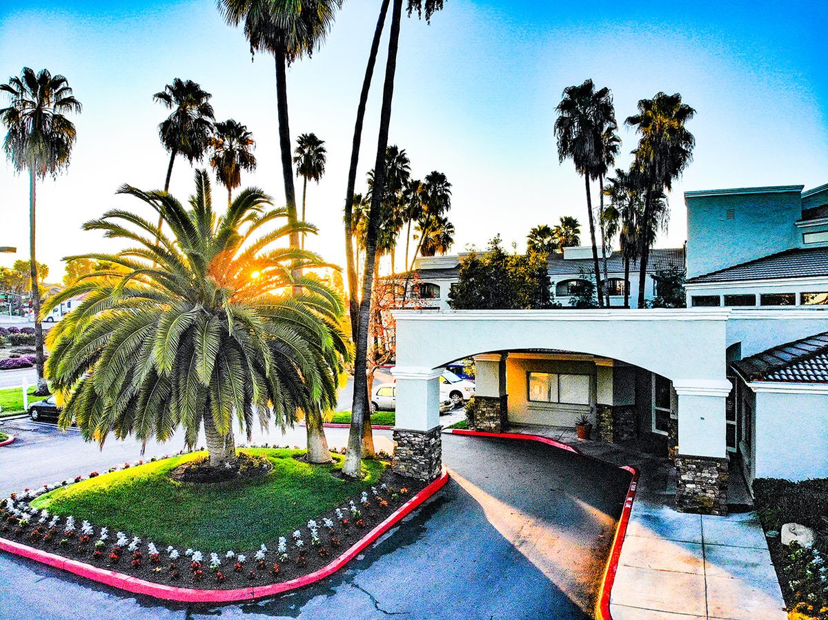 A hotel entrance surrounded by tall palm trees at sunset, creating a tropical atmosphere.