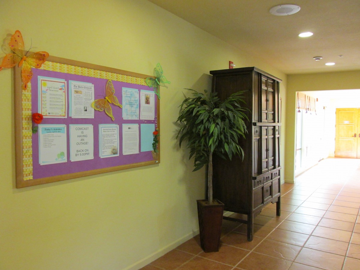 A hallway with a bulletin board and an indoor plant beside a wooden cabinet.