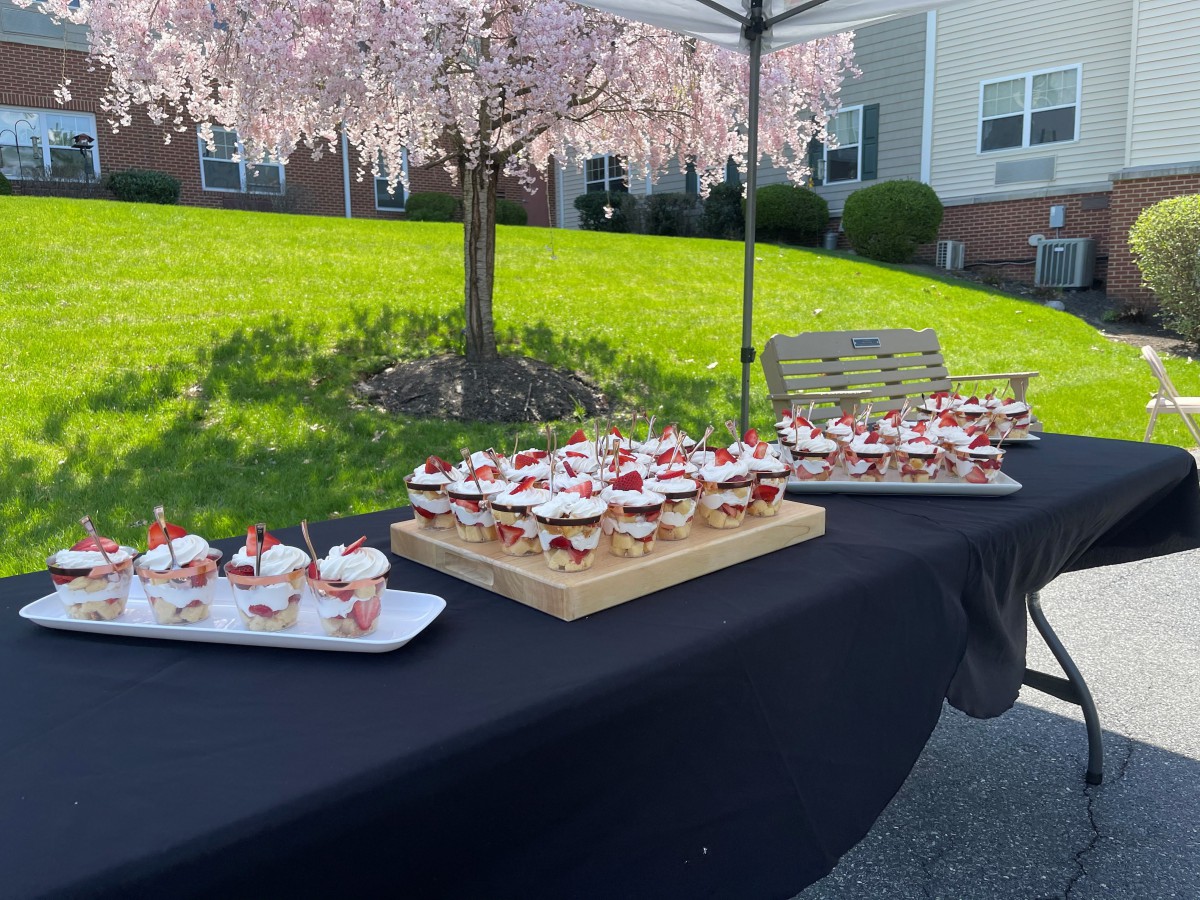 A delightful outdoor dessert setup featuring cupcakes under cherry blossom trees.