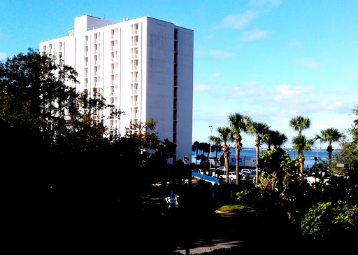 A hotel building surrounded by palm trees with a view of the ocean under a clear blue sky.