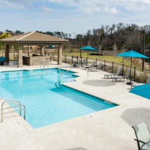 A sunny outdoor swimming pool area with lounge chairs and umbrellas.
