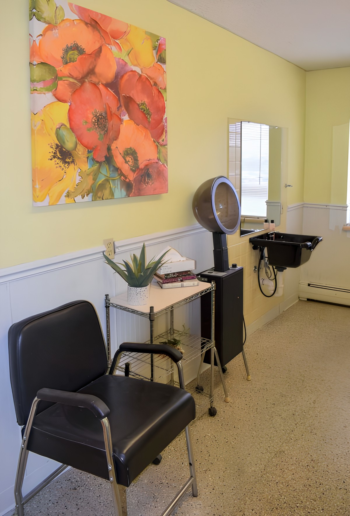 A cozy hair salon with a chair, hairdryer, and sink, decorated with vibrant artwork and a potted plant.