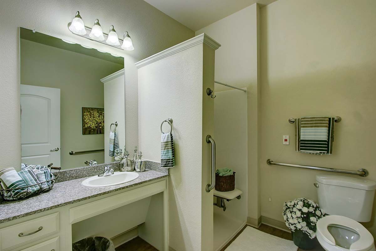 An accessible bathroom with a mirror, sink, and walk-in shower equipped with handrails.