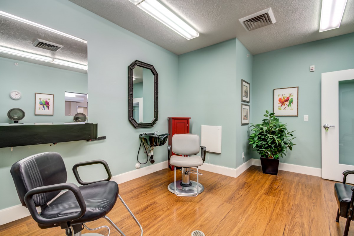 A neatly organized hair salon interior with a styling chair, mirrors, and decorative plants.