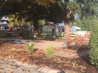 A serene autumn day at a countryside farm with trees and a barn.
