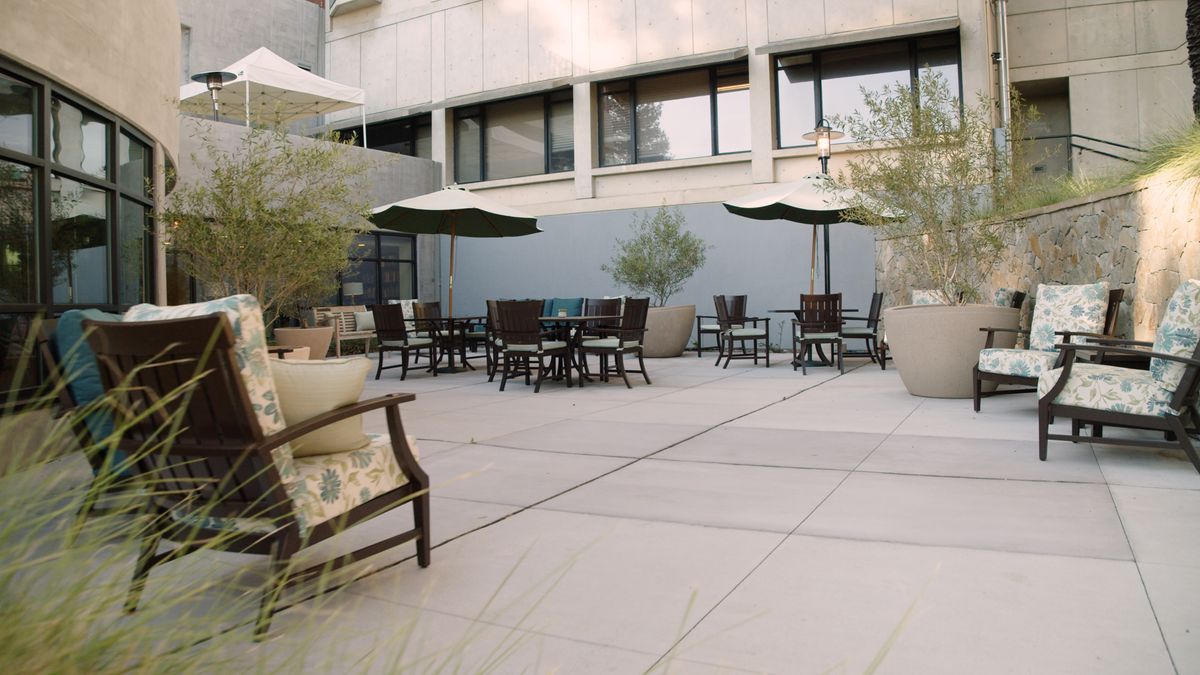 An outdoor patio area with tables, chairs, and umbrellas surrounded by plants.