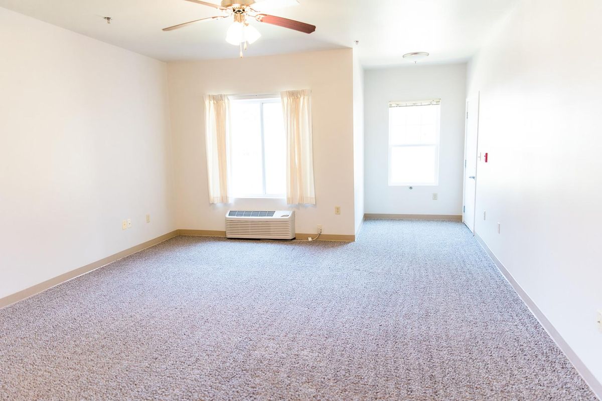 An empty room with carpet flooring, a ceiling fan, and two windows allowing natural light.