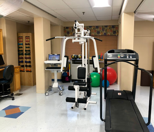 A well-equipped gym area featuring a strength training machine and a treadmill, complemented by exercise balls.