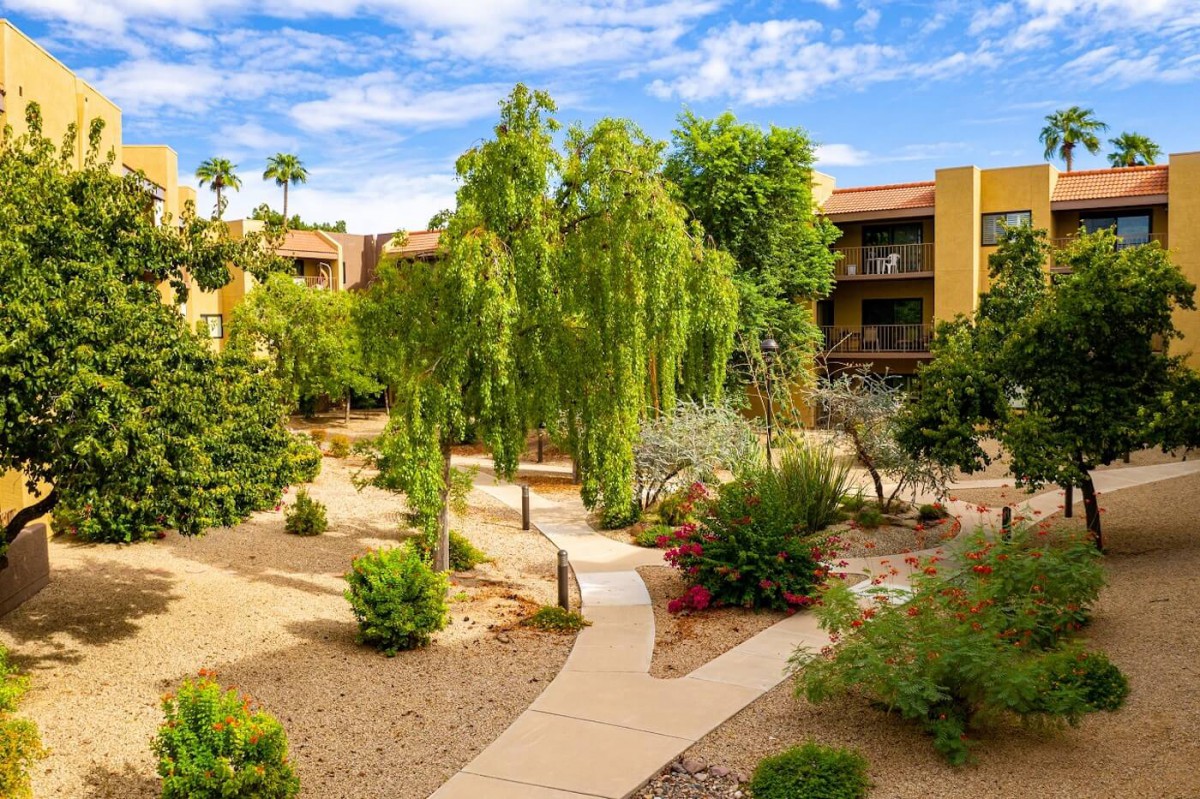 A beautifully landscaped residential garden featuring winding pathways and lush greenery.