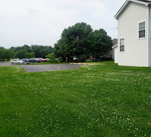 A peaceful view of a grassy area beside a residential building, featuring trees and a parking lot in the background.