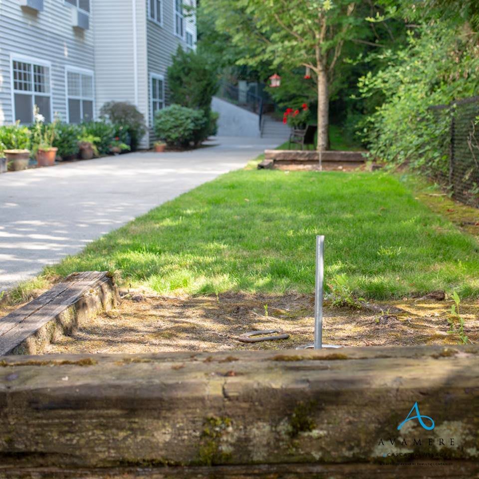 A serene backyard with a grassy area, bordered by pathways and lush greenery.